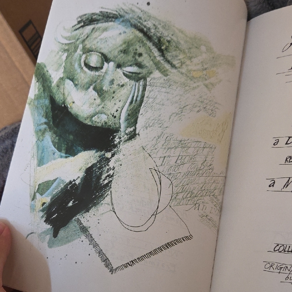 Sandman Graphic Novels by Neil Gaiman - Picture 8 of 12